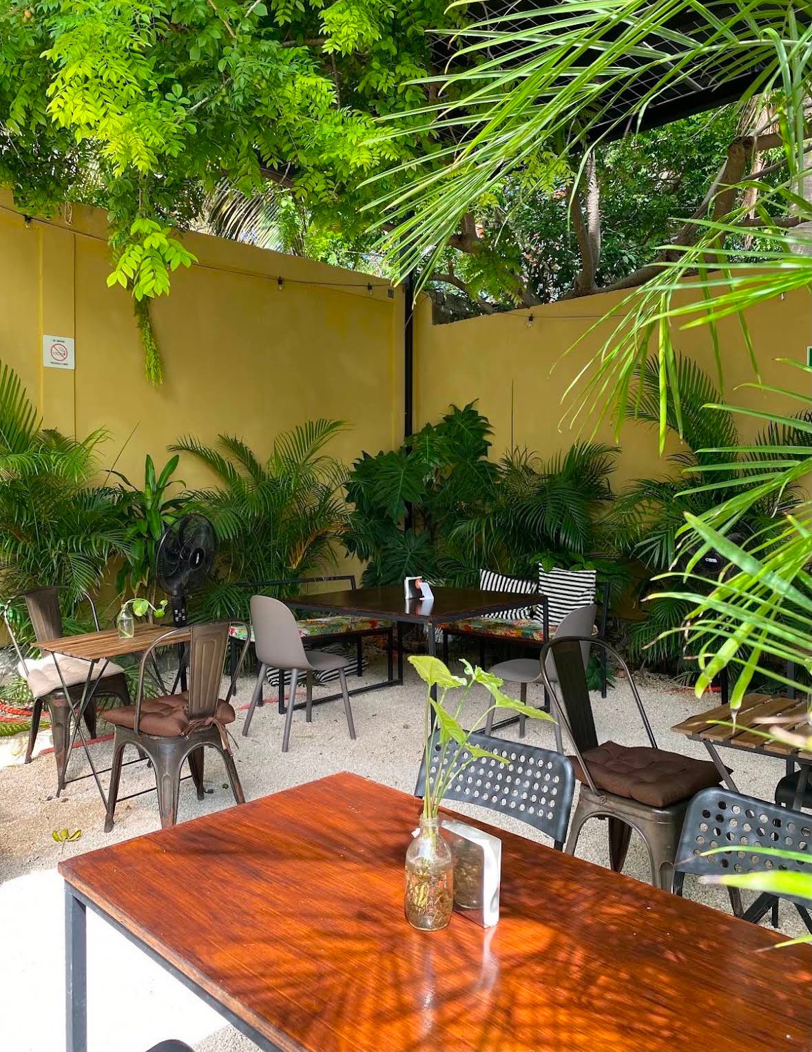 Rincón acogedor para sentarse en Migrante Café